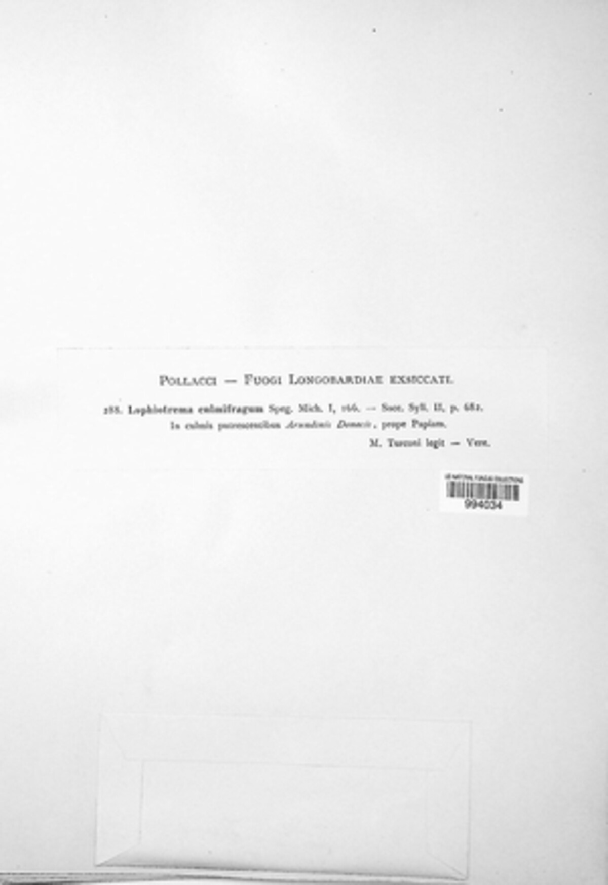 Lophiotrema culmifragum image